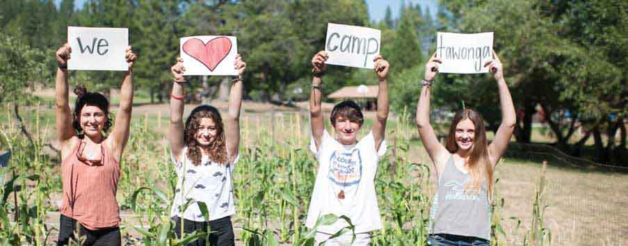 childrens jewish summer camp