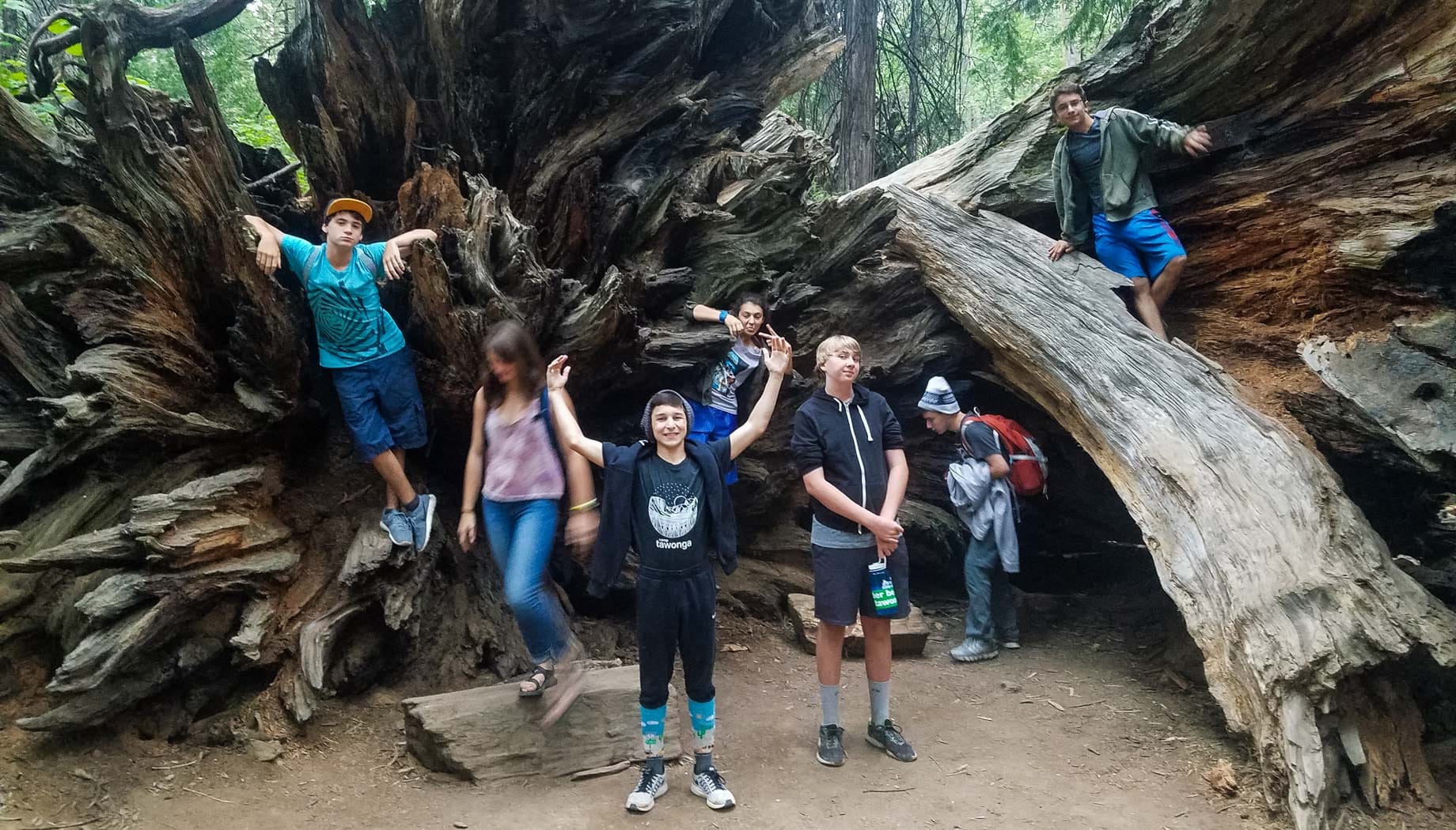 Redwoods site-seeing on the Magical Mystery quest