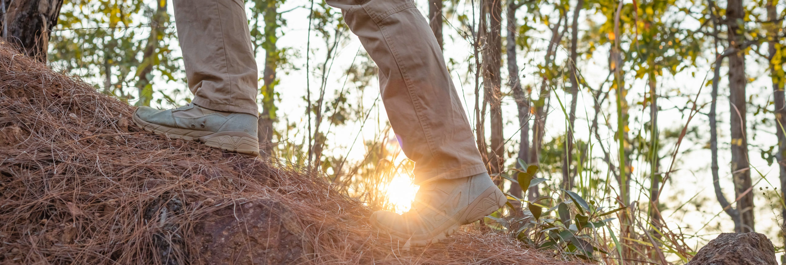 Divorce & Discovery: A Jewish Healing Retreat - Camp Tawonga