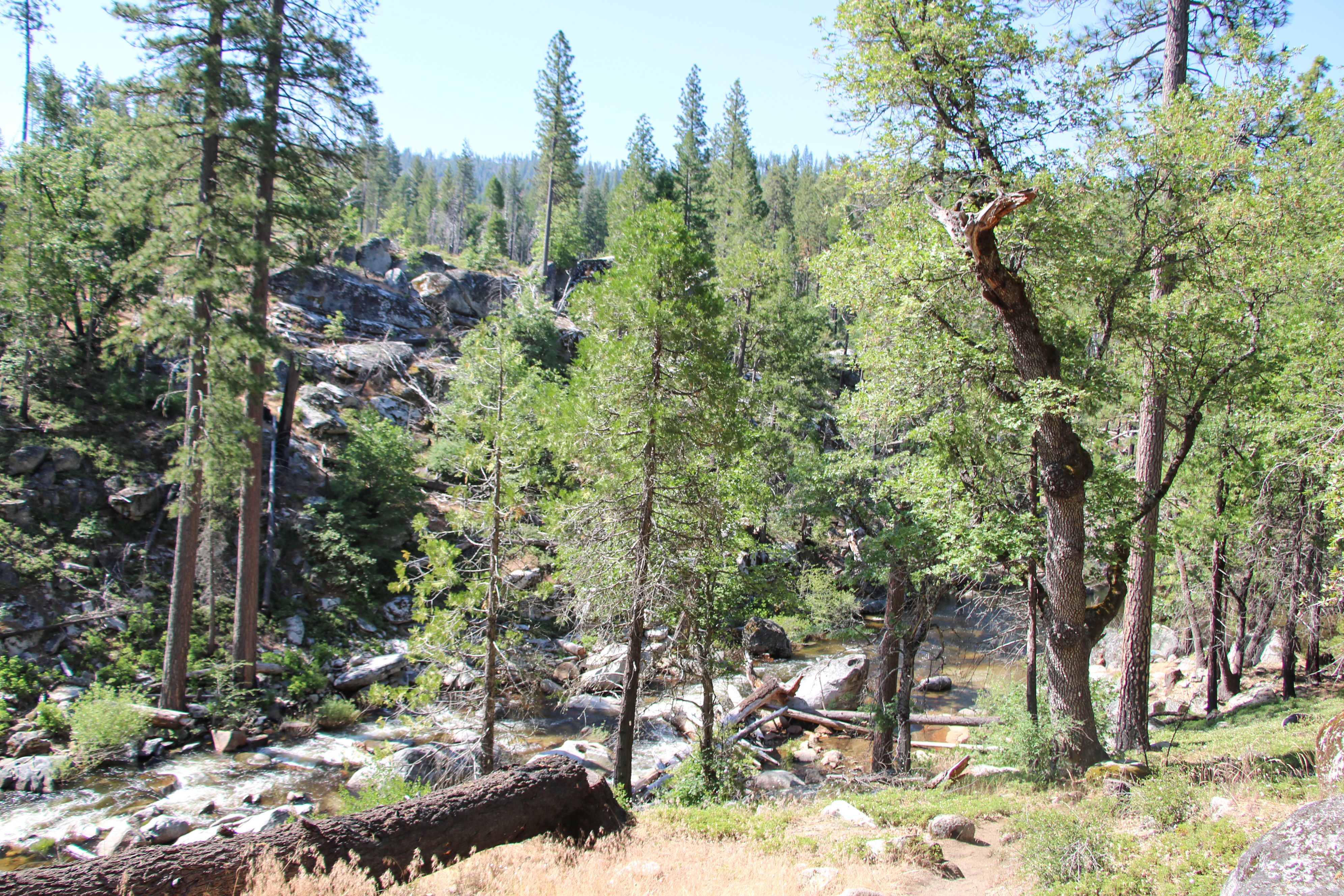 View of the Tuolumne River at Tawonga