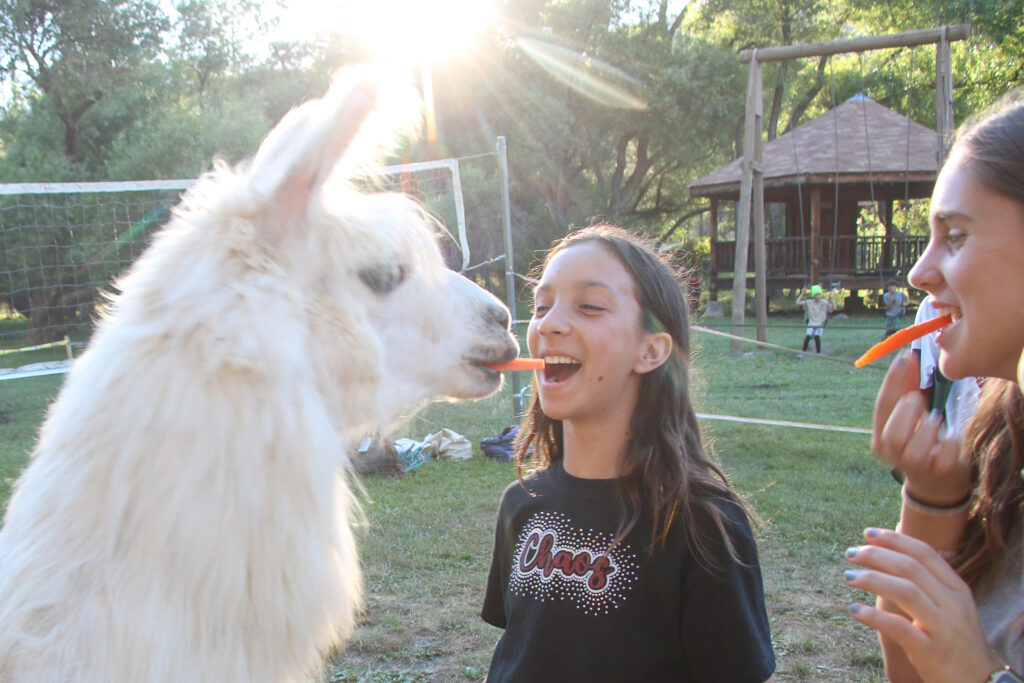 Llama fun on Earth Day